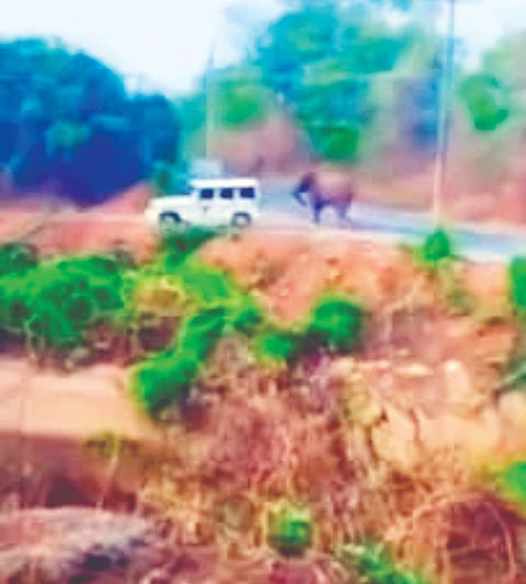  ಕಾಡಾನೆ ದಾಳಿಗೆ ಅರಣ್ಯ ಇಲಾಖೆ ವಾಹನ ಜಖಂಗೊಂಡಿದೆ.