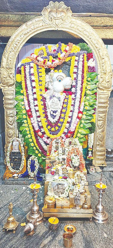 ಜೇಷ್ಠ ಹುಣ್ಣಿಮೆ ಅಂಗವಾಗಿ ಮದ್ದೂರು ನಗರದ ಪುರಾಣ ಪ್ರಸಿದ್ಧ ಶ್ರೀ ಹೊಳೆ ಆಂಜನೇಯಸ್ವಾಮಿ ದೇಗುಲದಲ್ಲಿ ದೇವರಿಗೆ ವಿಶೇಷ ಅಲಂಕಾರ ಮಾಡಿರುವುದು.