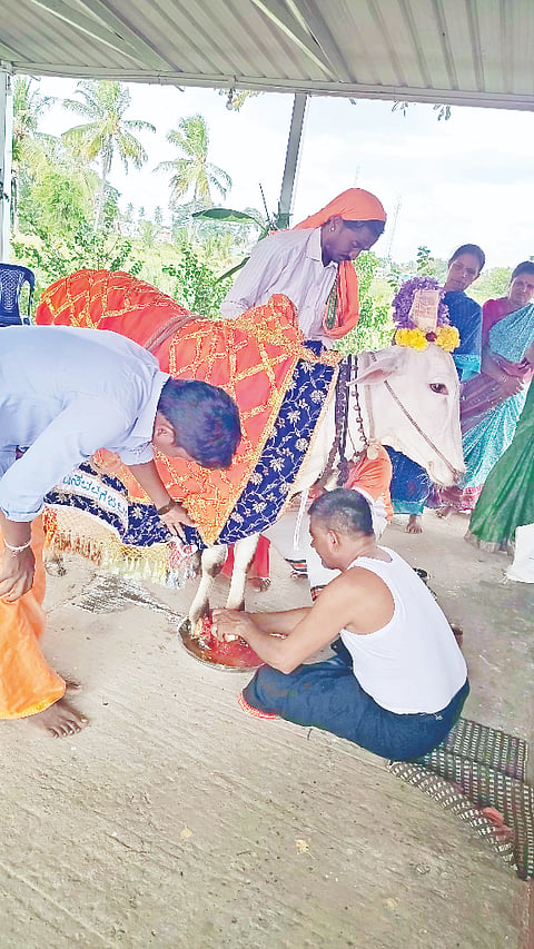 ಮದ್ದೂರು ತಾಲೂಕಿನ ಗೆಜ್ಜಲಗೆರೆ ಗ್ರಾಮದಲ್ಲಿರುವ ಶ್ರೀ ಹೂ ಶನೈಶ್ಚರ ಸ್ವಾಮಿ ದೇವಸ್ಥಾನದಲ್ಲಿ  ವಿಶೇಷ ಪೂಜಾ ಕೈಂಕರ್ಯ ನೆರವೇರಿತು.