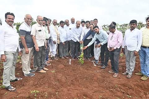 ಮತ್ತಿಕೊಪ್ಪದ ಕೆವಿಕೆ ಆವರಣದಲ್ಲಿ ಶುಕ್ರವಾರ ಜ್ಯೂಸ್ ಬಿಲ್ವ ಸಸಿ ನೆಡುವ ಮೂಲಕ ಡಾ.ಪ್ರಭಾಕರ ಕೋರೆ ಜನ್ಮದಿನ ಆಚರಿಸಲಾಯಿತು. ಬಿ.ಆರ್.ಪಾಟೀಲ, ಡಾ.ಮಂಜುನಾಥ ಚೌರಡ್ಡಿ, ಪ್ರವೀಣ ಯಡಹಳ್ಳಿ, ಡಾ.ಎಸ್.ಎಸ್.ಹಿರೇಮಠ ಇತರರಿದ್ದರು.