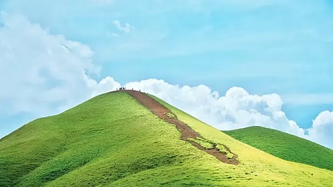 ಕಳಸ ತಾಲೂಕಿನ ನೇತ್ರಾವತಿ ಚಾರಣ.