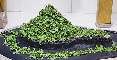 ಚಂದ್ರಗ್ರಹಣ