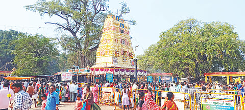 ಚಿಕ್ಕಲ್ಳೂರು ಶ್ರೀ ಸಿದ್ದಪ್ಪಾಜಿ ಜಾತ್ರೆಯ ಎರಡನೇ ದಿನವಾದ ಭಾನುವಾರ ದೇವಾಲಯಕ್ಕೆ ಆಗಮಿಸಿದ್ದ ಭಕ್ತರು.