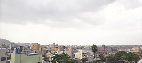 ಭರಣಿ ಬಿದ್ದರೆ ಧರಣಿಯಲ್ಲ ಬೆಳೆ crop