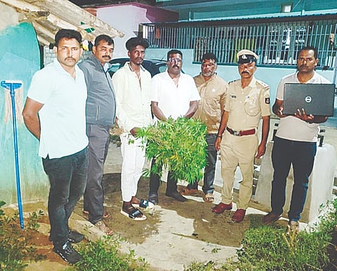 ಹುಣಸವಾಡಿ ಗ್ರಾಮದಲ್ಲಿ ಗಾಂಜಾ ಗಿಡ ಬೆಳೆದು ಸಿಕ್ಕಿಬಿದ್ದ ಆರೋಪಿ ಪುನೀತ್‌ನನ್ನು ಬಂಸಿ ಗಿಡಗಳನ್ನು ವಶಕ್ಕೆ ಪಡೆಯಲಾಯಿತು. ಬೈಲುಕುಪ್ಪೆ ಠಾಣೆ ಸಿಬ್ಬಂದಿ ರವಿ, ಮುದ್ದುರಾಜ್, ಸುರೇಶ್, ಪ್ರಸನ್ನ ಇದ್ದರು.