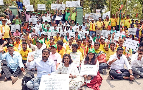  ಕಪಿಲಾ ನದಿ ದಂಡೆಯ ಮೇಲೆ ಮರಗಳನ್ನು ಅಕ್ರಮವಾಗಿ ಕಡಿದವರ ವಿರುದ್ಧ ಕ್ರಮಕ್ಕೆ ಒತ್ತಾಯಿಸಿ ವಿವಿಧ ಸಂಘಟನೆಗಳ ಕಾರ್ಯಕರ್ತರು ನಗರದಲ್ಲಿ ಸೋಮವಾರ ಪ್ರತಿಭಟನೆ ನಡೆಸಿದರು. ಲೀಲಾ, ಭಾಗ್ಯ, ಅಂಜನಾ, ಸುಗುಣ, ಹೊಸಕೋಟೆ ಬಸವರಾಜು, ಪಿ.ಮರಂಕಯ್ಯ, ರವಿಕುಮಾರ್, ಸೋಮಸುಂದರ್, ಶೋಭನಾ ಇನ್ನಿತರರಿದ್ದರು.