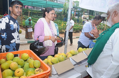 ಕುಪ್ಪಣ್ಣ ಪಾರ್ಕ್‌ನಲ್ಲಿ ಆಯೋಜಿಸಿರುವ ‘ಮಾವು, ಹಲಸು’ ಮೇಳದಲ್ಲಿ ಭಾಗಿಯಾಗಿರುವ ಸಾರ್ವಜನಿಕರು.