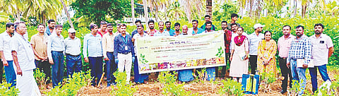 ಹಲಗೂರು ಸಮೀಪದ ಕೋಡಿಪುರ ಗ್ರಾಮದಲ್ಲಿ ಕೇಂದ್ರ ರೇಷ್ಮೆ ಮಂಡಳಿ ವತಿಯಿಂದ ರೇಷ್ಮೆ ಬೆಳೆಗಾರರಿಗೆ ಪ್ರಾತ್ಯಕ್ಷಿಕೆ ಕಾರ್ಯಕ್ರಮ ಆಯೋಜಿಸಲಾಗಿತ್ತು. ಎ.ಬಿ.ರವಿ, ಎಸ್.ವಿ.ನರಸಿಂಹಮೂರ್ತಿ, ಆಶಾ, ಎಚ್.ಜಿ.ಕುಮಾರಿ, ಟಿ.ಆರ್.ಪೂಜಾ, ಬಿ.ಆರ್.ಕಿರಣ್ ಇತರರು ಇದ್ದರು. 