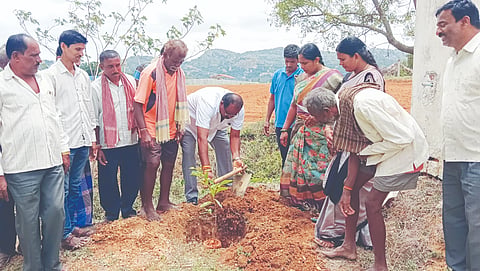 Grow trees for the survival of future generations.