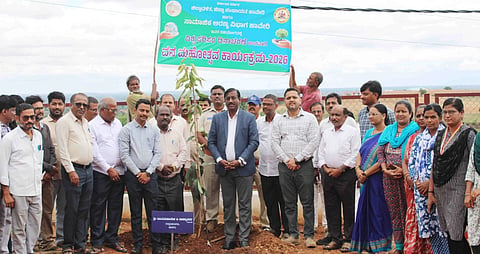 Haveri, Environment Day, DC, Danammanavar,