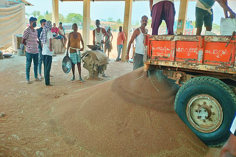  ಕಡೂರು ಎಪಿಎಂಸಿ ರಾಗಿ ಖರೀದಿ ಕೇಂದ್ರದಲ್ಲಿ ರೈತರಿಂದ ರಾಗಿ ಖರೀದಿ ಮಾಡುತ್ತಿರುವುದು.