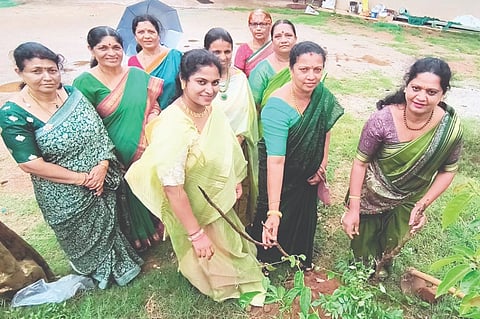 ಚೇರಂಬಾಣೆ ಗೌಡ ಮಹಿಳಾ ಒಕ್ಕೂಟದ ವತಿಯಿಂದ ವಿಶ್ವ ಪರಿಸರ ದಿನದ ಅಂಗವಾಗಿ ಕಾರುಗುಂದ ಗೌಡ ಸಮಾಜದ ಆವರಣದಲ್ಲಿ ಗಿಡನೆಡುವ ಕಾರ್ಯಕ್ರಮ ಹಮ್ಮಿಕೊಳ್ಳಲಾಯಿತು.