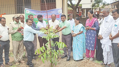 ಸತ್ತಿಗೇರಿ ಸರ್ಕಾರಿ ಪ್ರೌಢಶಾಲೆ ಆವರಣದಲ್ಲಿ ವಿಶ್ವ ಪರಿಸರ ದಿನ ಆಚರಿಸಲಾಯಿತು. ಎಂ.ವಿ.ಗುಂಡಪ್ಪಗೋಳ, ಆನಂದ ಬಡಕುಂದ್ರಿ, ಎ.ಎ.ಖಾಜಿ, ಅಮೃತ ಸಾಣಿಕೊಪ್ಪ, ನೀಹಾ ತೋರಗಲ್ಲ, ನಾಗರಾಜು ಕೆ., ಇತರರಿದ್ದರು.