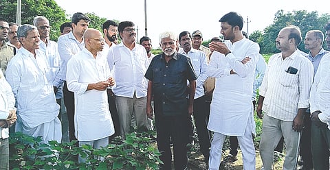 ಗುರುಮಠಕಲï ತಾಲೂಕಿನ ಕಡೆಚೂರ-ಬಾಡಿಯಾಳ ಕೈಗಾರಿಕಾ ಪ್ರದೇಶದಲ್ಲಿರುವ ಸಿಲ್ ಲ್ಯಾಬೋರೇಟರೀಸ್ ಪ್ರೆÊ.ಲಿಮಿಟೆಡ್ ಕಂಪನಿ.