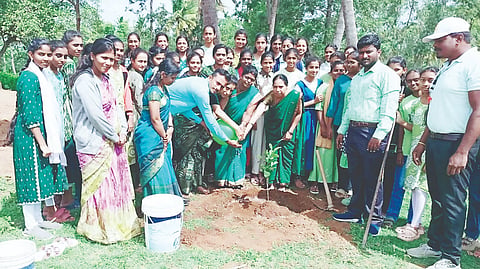 ಹಲಗೂರಿನಲ್ಲಿ ಜೆ.ಜೆ.ಪಬ್ಲಿಕ್ ಸ್ಕೂಲ್ ಅವರಣದಲ್ಲಿ ವಿಶ್ವ ಪರಿಸರ ದಿನ ಕಾರ್ಯಕ್ರಮ ಪ್ರಯುಕ್ತ ಗಣ್ಯರು ಗಿಡ ನೆಟ್ಟು ನೀರೆರೆದರು. 