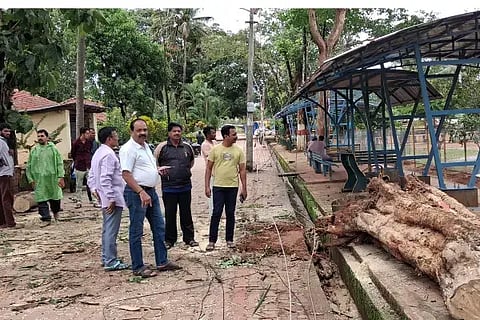 ಸಾಗರದ ನೆಹರು ಮೈದಾನದ ಬಳಿ ಬೀಳುವ ಸ್ಥಿತಿಯಲ್ಲಿದ್ದ ಮರಗಳನ್ನು ತೆರವುಗೊಳಿಸುತ್ತಿರುವುದು.