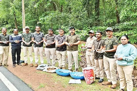 ರಿಪ್ಪನ್‌ಪೇಟೆ ಸಮೀಪದ ಮೂಗುಡ್ತಿ ವನ್ಯಜೀವ ವಲಯ ಅರಣ್ಯ ಪ್ರದೇಶದಲ್ಲಿ ಕಾಡುಮರಗಳ ಬೆಳೆಸಲು ಬೀಜ ಬಿತ್ತನೆ ಅಭಿಯಾನ ನಡೆಸಲಾಯಿತು. ಪವನ್ ಕುಮಾರ್, ಪುಟ್ಟಣ್ಣ, ವಿದ್ಯಾ ಇತರರಿದ್ದರು.