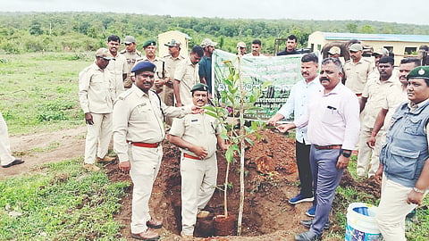 ಪಿರಿಯಾಪಟ್ಟಣ ತಾಲೂಕಿನ ದೊಡ್ಡ ಹರವೆ ಕಾವೇರಿ ಸಾಕಾನೆ ಶಿಬಿರದಲ್ಲಿ ಹಮ್ಮಿಕೊಂಡಿದ್ದ  ಸಸಿ ನೆಡುವ ಕಾರ್ಯಕ್ರಮದಲ್ಲಿ ಅತಿಥಿಗಳು ಗಿಡ ನೆಟ್ಟು ನೀರು ಹಾಕಿದರು. ವನ್ಯಜೀವಿ ಉಪವಿಭಾಗದ ಸಹಾಯಕ ಅರಣ್ಯ ಸಂರಕ್ಷಣಾಧಿಕಾರಿ ಶ್ರೀಕಾಂತ್, ಕೆ. ಇ. ಸುಬ್ರಹ್ಮಣ್ಯ, ಟೆಂಜಿನ್, ಪಿ.ಎಲ್. ರಾಮಣ್ಣ ಇತರರು ಇದ್ದರು. 