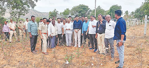 ನಂಜನಗೂಡು ತಾಲೂಕು ವರುಣ ವಿಧಾನಸಭಾ ಕ್ಷೇತ್ರದ ಹನುಮನಪುರ ಗ್ರಾಮದಲ್ಲಿ ನಗರಾಭಿವೃದ್ಧಿ ಸಚಿವ ಯತೀಂದ್ರ ಸಿದ್ದರಾಮಯ್ಯ ಶಾಸಕ ದರ್ಶನ್ ಧ್ರುವನಾರಾಯಣ ಬರದಿಂದ ಹಾನಿಯಾದ ಬೆಳೆ ವೀಕ್ಷಿಸಿದರು.