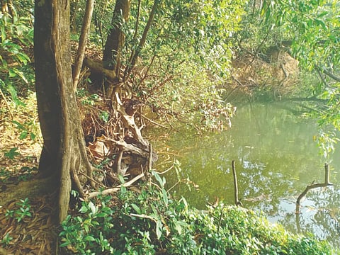 ಸೀತಾನದಿ ರಭಸಕ್ಕೆ ಮಣ್ಣು ಸವೆತ