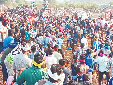 ಬ್ಯಾಡಗಿ ತಾಲೂಕು ಮೋಟೆಬೆನ್ನೂರು ಗ್ರಾಮದಲ್ಲಿ ಜರುಗಿದ ಹೋರಿ ಬೆದರಿಸುವ ಹಬ್ಬದಲ್ಲಿ ಹೋರಿಯೊಂದು ಓಡುತ್ತಿರುವುದು. 