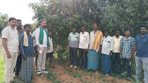 Provide support price of Rs 7,000 and Rs 10,000 for mangoes.