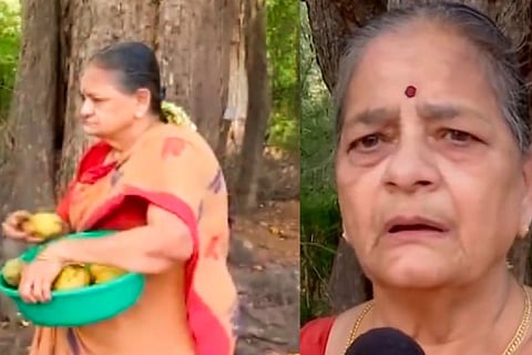 76 Year Old Woman Feeds Monkeys