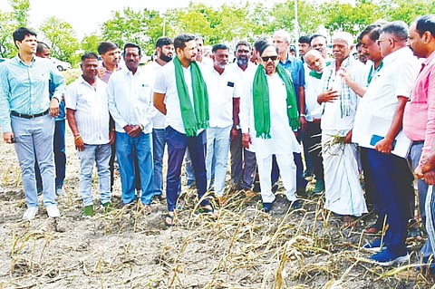 ಗಟ್ಟವಾಡಿ ಗ್ರಾಮದ ರೈತರ ಜಮೀನಿನಲ್ಲಿ ಉಪ ಮುಖ್ಯಮಂತ್ರಿ ಡಾ.ಜಿ.ಪರಮೇಶ್ವರ, ಶಾಸಕ ದರ್ಶನ್ ಧ್ರುವನಾರಾಯಣ ಬರ ಸಮೀಕ್ಷೆ ನಡೆಸಿದರು. ಪಕ್ಷ ಕಾರ್ಯಕರ್ತರು, ಮುಖಂಡರು ಇದ್ದರು.