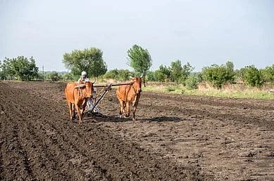 ಕೃಷಿ 