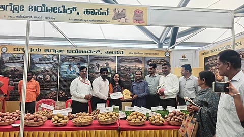 ಹಾಸನ ನಗರದ ಹೊಸ ಬಸ್ ನಿಲ್ದಾಣದ ಬಳಿ ಇತ್ತೀಚೆಗೆ ಆಯೋಜಿಸಿದ್ದ ಆಲೂಗಡ್ಡೆ ಮೇಳದಲ್ಲಿ ವಿವಿಧ ತಳಿಯ ಆಲೂಗಡ್ಡೆಯನ್ನು ರೈತರಿಗೆ ಪರಿಚಯಿಸಲಾಯಿತು.