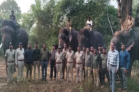 ಸೊರಬ ತಾಲೂಕಿನ ಕ್ಯಾಸನೂರು ಮತ್ತು ಬರಗಿ ಕಾಡಿನಲ್ಲಿ ಬೀಡುಬಿಟ್ಟಿರುವ ಕಾಡಾನೆಗಳನ್ನು ಓಡಿಸಲು ಸಕ್ರೆಬೈಲು ಆನೆ ಬಿಡಾರದಿಂದ ಕರೆತಂದ ಆನೆಗಳು.