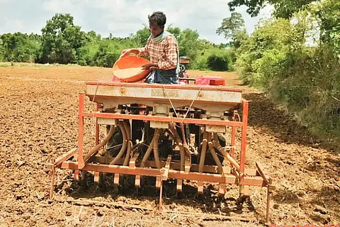 ಜಡೆ ಹೋಬಳಿ ಗ್ರಾಮವೊಂದರಲ್ಲಿ ಕೂರಿಗೆ ಭತ್ತ ಬಿತ್ತನೆ ಮಾಡುತ್ತಿರುವುದು.