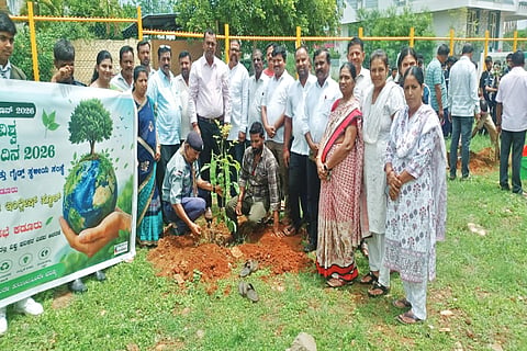 ಕಡೂರಿನ 5ನೇ ವಾರ್ಡ್‌ನ ಪಾರ್ಕ ಆವರಣದಲ್ಲಿ ವಿಶ್ವ ಪರಿಸರ ದಿನಾಚರಣೆ ಆಚರಿಸಲಾಯಿತು. 