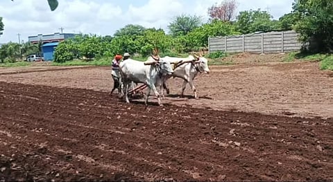 ಕೃಷಿ