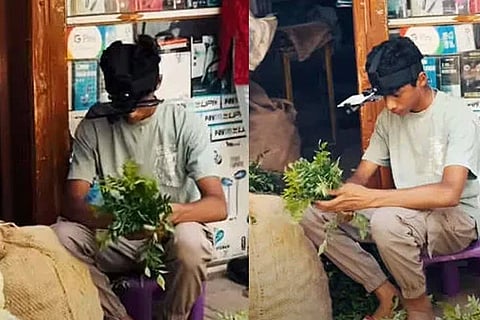 ತಲೆಗೆ AI ಡಿವೈಸ್​ ಕಟ್ಟಿಕೊಂಡು ತರಕಾರಿ ಮಾರಾಟ: ಗಂಟೆಗೆ 350 ರೂ. ಗಳಿಕೆ, ಈತನ ಐಡಿಯಾಗೆ ನೆಟ್ಟಿಗರು ಫಿದಾ! AI Device    