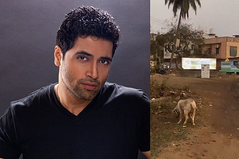 Adivi Sesh Dog Rescue