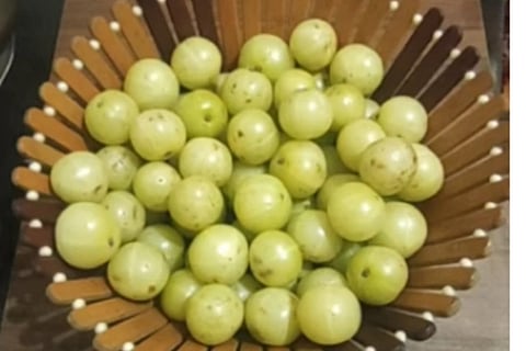 Amla  