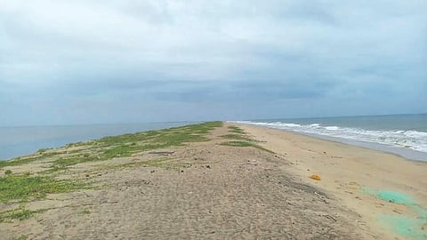  ಶಿರಿಯಾದಲ್ಲಿರುವ ಕರಾವಳಿ ತೀರ.