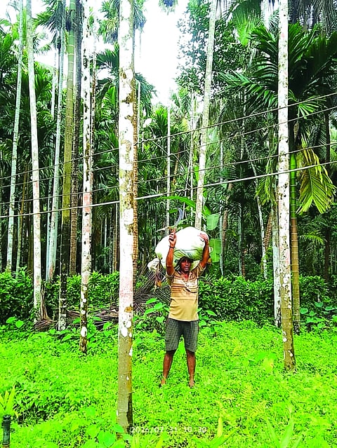  ಕೈಗೆಟಕುವಂತಿರುವ ವಿದ್ಯುತ್ ತಂತಿಗಳು.