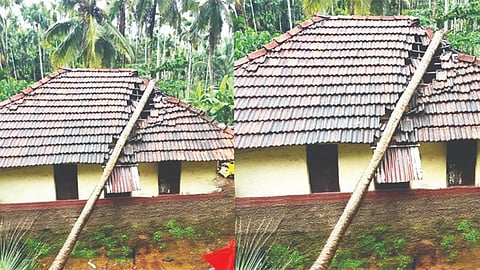 ಕೋಟೆಕ್ಕಾರ್‌ನಲ್ಲಿ ರಾಧಾಕೃಷ್ಣ ಪೂಜಾರಿ ಎಂಬುವರ ಹೆಂಚಿನ ಮನೆ ಮೇಲೆ ಬುಡ ಸಮೇತ ಮುರಿದು ಬಿದ್ದಿರುವ ತೆಂಗಿನ ಮರ.  