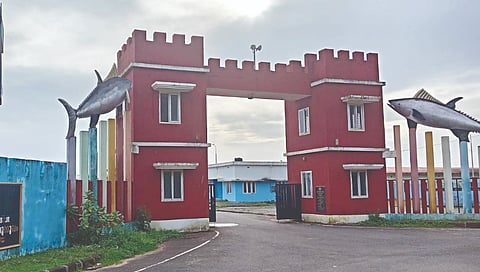  ಮಂಜೇಶ್ವರ ಮೀನುಗಾರಿಕಾ ಬಂದರು.