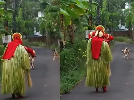  ಬೀದಿನಾಯಿಗಳ ಗುಂಪು ತೆಯ್ಯಂಗೆ ಎದುರಾಗಿರುವುದು.