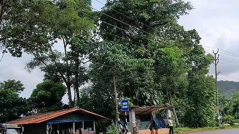  ಆದೂರು ಜಂಕ್ಷನ್‌ನಲ್ಲಿರುವ ಬಸ್ ನಿಲ್ದಾಣ ಬಳಿಯಲ್ಲಿ ಅಪಾಯಕಾರಿಯಾಗಿರುವ ಬೃಹತ್ ಮರ.