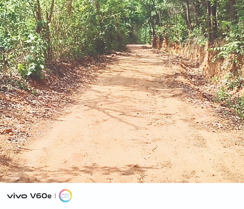 ಡಾಂಬರೀಕರಣ ಕಾಣದ ಲಾಯಿಲ ಗ್ರಾಮದ ಹೊಳೆಬದಿ-ಚಂದ್ಕೂರು ರಸ್ತೆ.