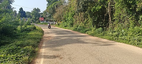  ರಸ್ತೆಯ ಚರಂಡಿಗಳಲ್ಲಿ ಬೆಳೆದಿರುವ ಪೊದೆಗಳು