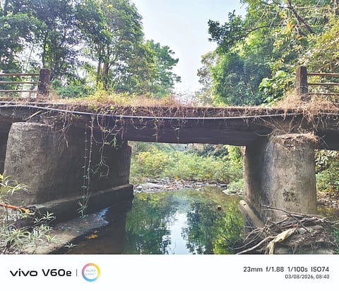  ಕುಸಿಯುವ ಭೀತಿಯಲ್ಲಿರುವ ಸೇತುವೆ