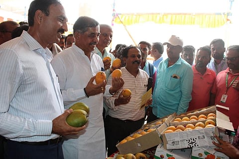 ಮಾವು ಮೇಳದಲ್ಲಿ ಪ್ರದರ್ಶನ ಮತ್ತು ಮಾರಾಟಕ್ಕೆ ಇಟ್ಟಿದ್ದ ಹಣ್ಣುಗಳನ್ನು ಗಣ್ಯರು ವೀಕ್ಷಿಸಿದರು.