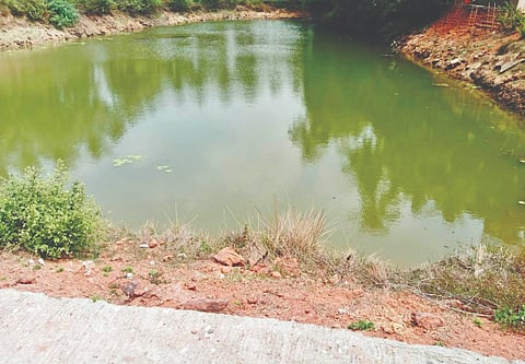 ನಿರ್ವಹಣೆ ಕೊರತೆಯಿಂದ ಬಿಯಾರ ಕೆರೆ ಸೊರಗಿರುವುದು.