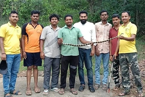 ಈ ಯುವಕರ ಕೈಯಲ್ಲಿರುವುದು ಸಾಮಾನ್ಯ ಹಾವಲ್ಲ... ನೇರ ನರಮಂಡಲಕ್ಕೆ ಅಟ್ಯಾಕ್​ ಮಾಡೋ ವಿಷಕಾರಿ ಸರ್ಪವಿದು! Banded Krait Snake 