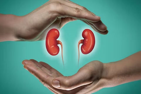 Kidneys Healthy